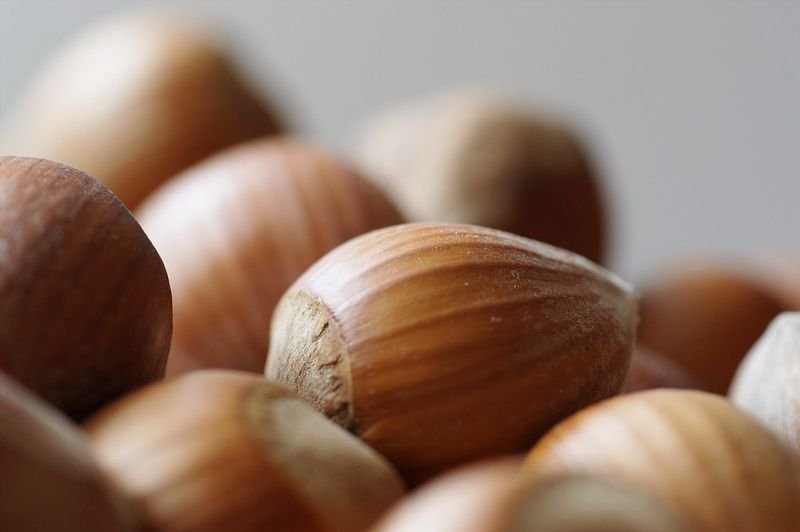 resources of Square type Single Nut exporters
