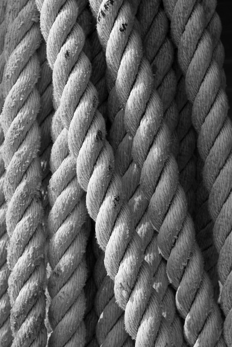 resources of Rope exporters