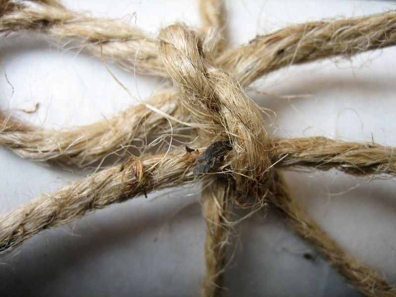 resources of Yellow HDPE Monofilament Rope exporters