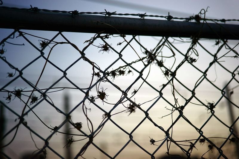 resources of Welded wire mesh exporters