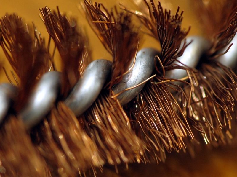resources of dry flies exporters