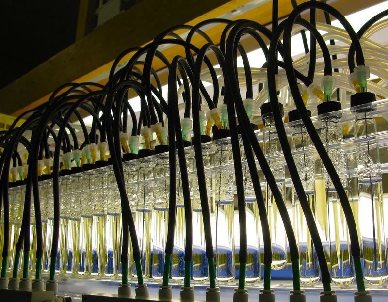 resources of GYTS(optic fiber, fiber optical cable) exporters resources of GYTS(optic fiber, fiber optical cable) exporters