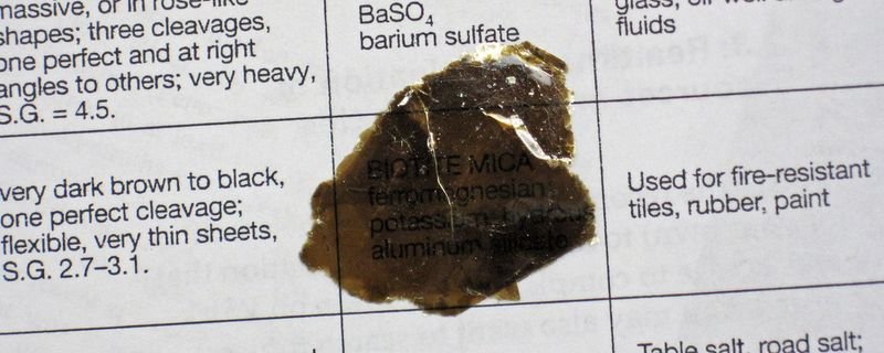 resources of Baseoilsn 500 exporters