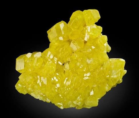 resources of Ssp Series exporters