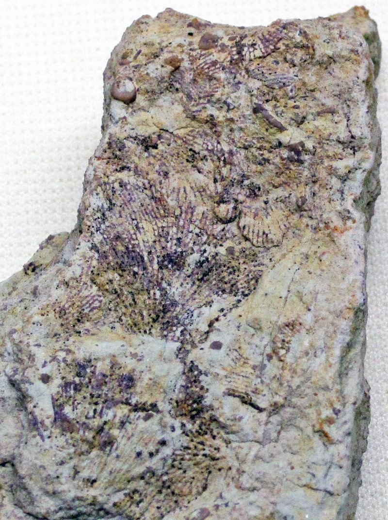 resources of Maganese Ore exporters