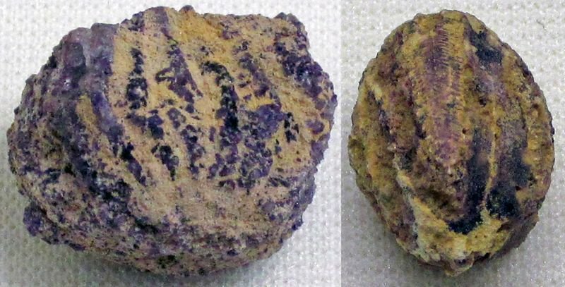 resources of Calcined Bauxite exporters