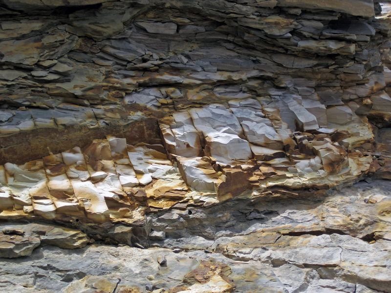 resources of Cat Cave, exporters
