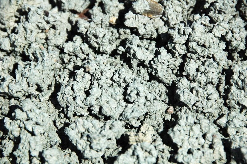 resources of Bentonite exporters