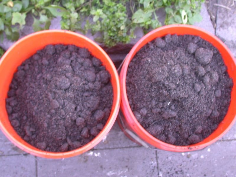 resources of Sodium Bentonite exporters