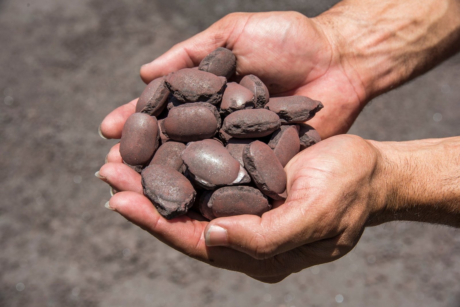 resources of Iron Ore exporters