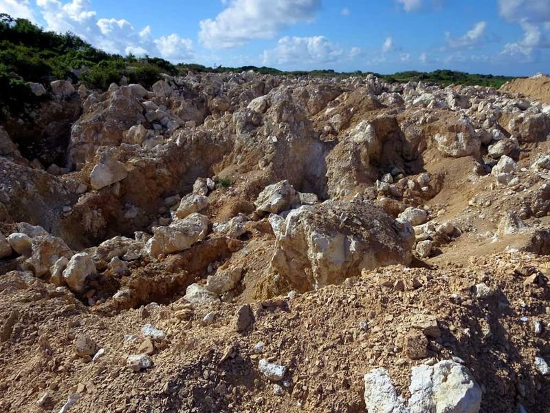 resources of Rock phosphate exporters