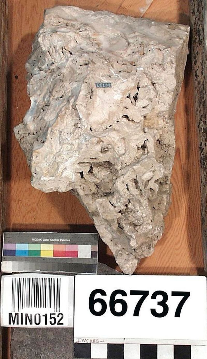 resources of Rock phosphate exporters