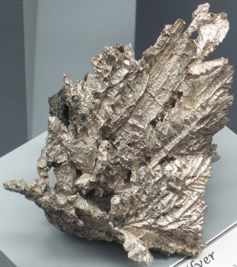 resources of Agarwood exporters