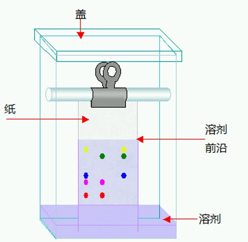 resources of Parts feeding+PC Visual software+robotic placement exporters