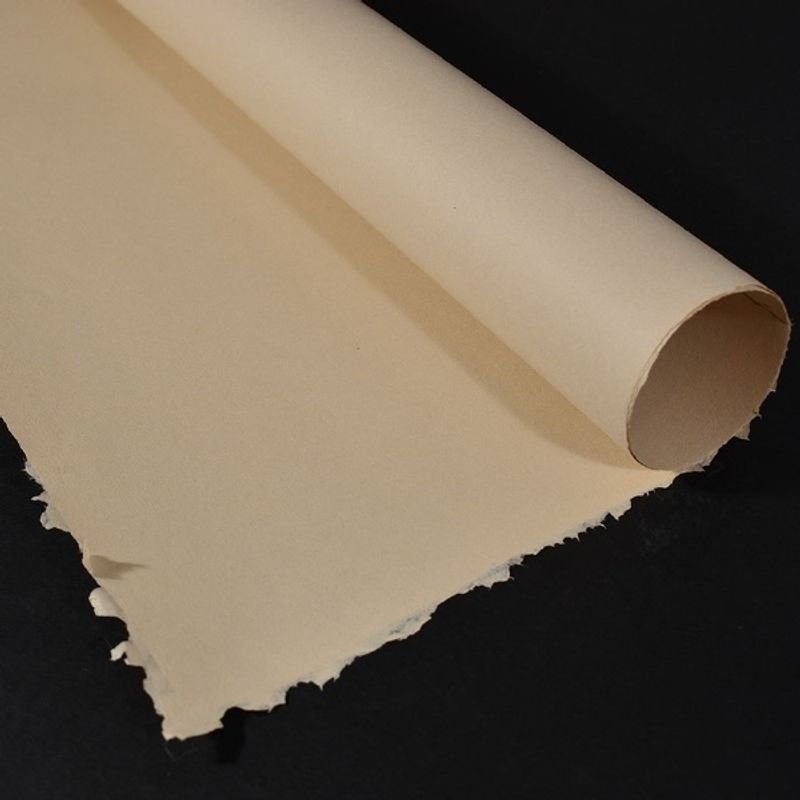 resources of Phenolic Resin Impregnated Film Face Paper exporters