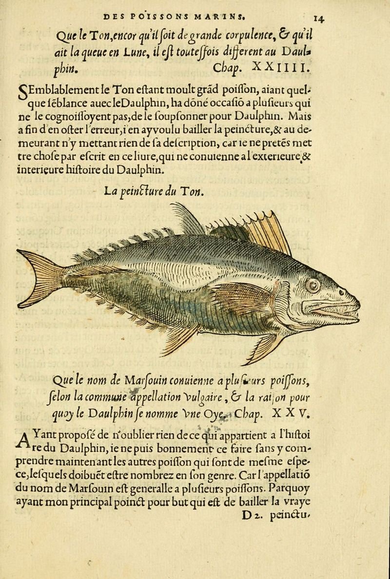 resources of Sea Keski Fish exporters