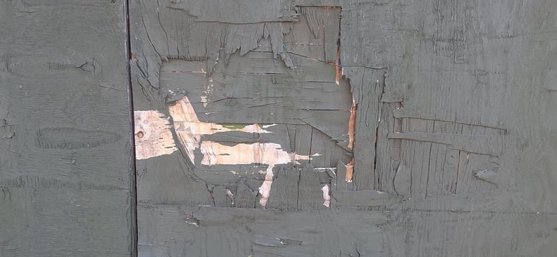 resources of Grey board duplex board black paper exporters resources of Grey board duplex board black paper exporters