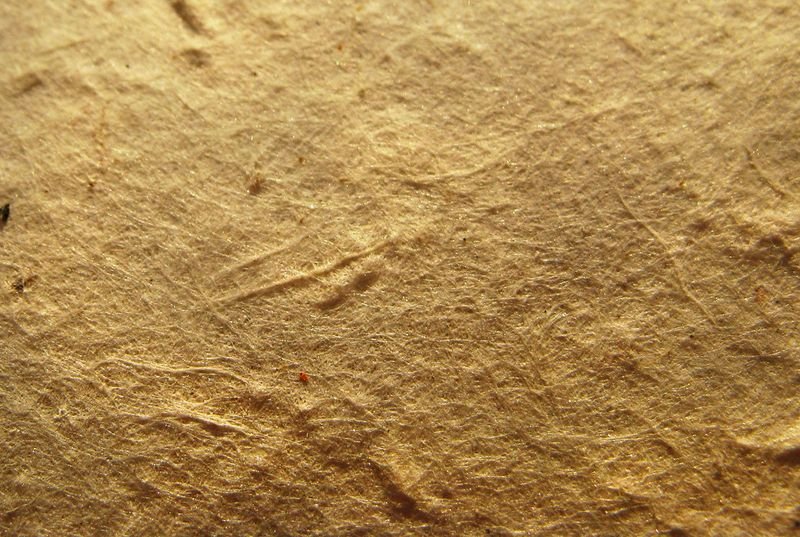 resources of Handmade paper and craft exporters