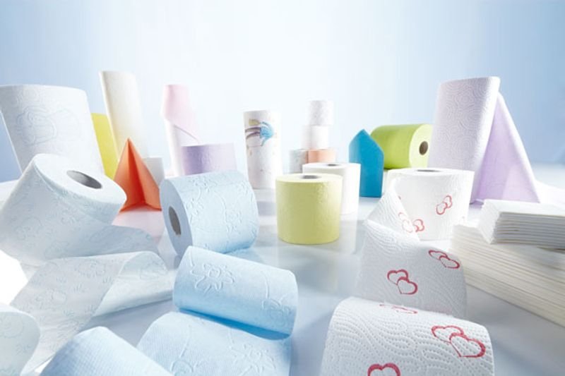 resources of Toilet Rolls,  Damo Toilet-Rolls 24 Pcs exporters