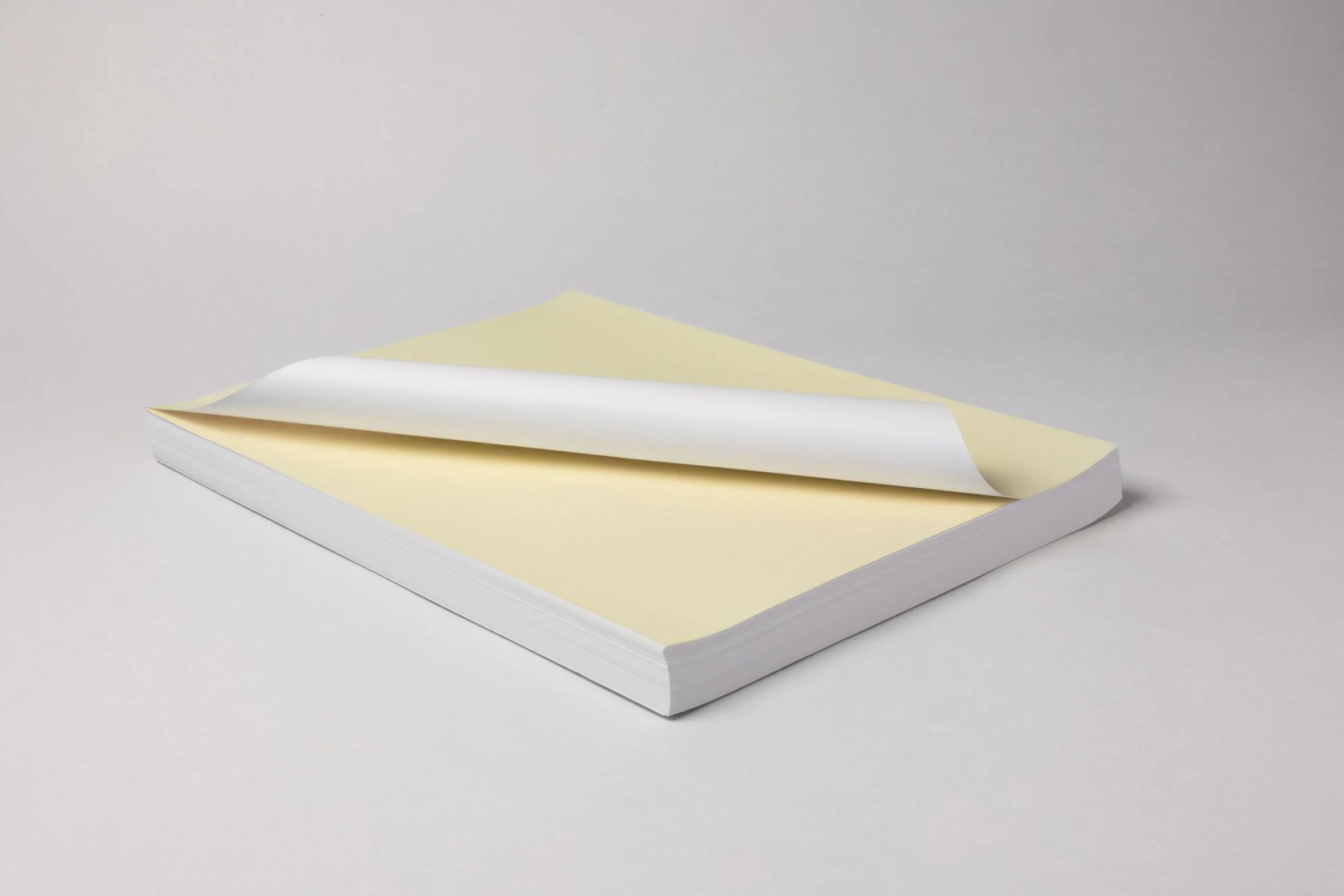 resources of PP Roll White exporters