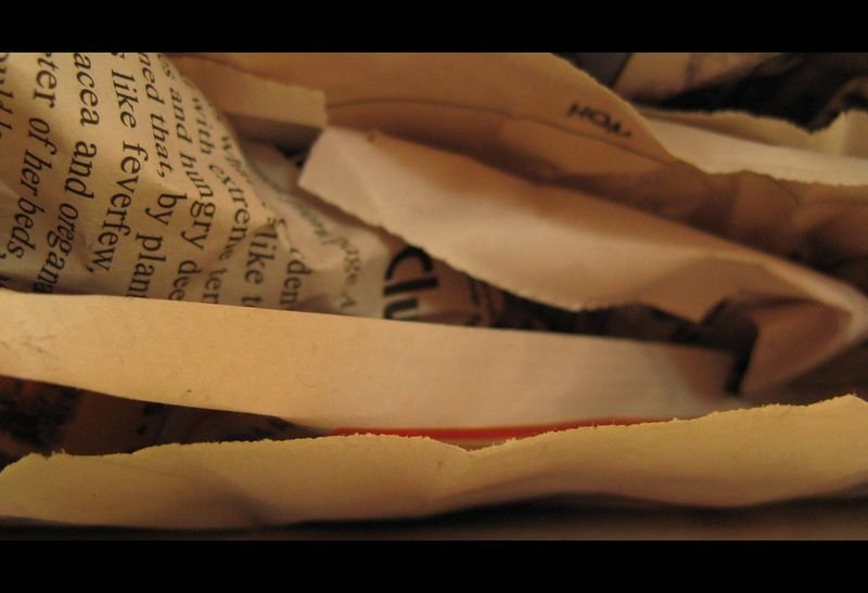 resources of News print exporters