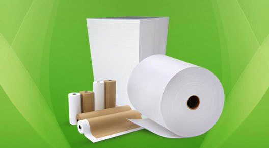 resources of Bamboo Paper exporters