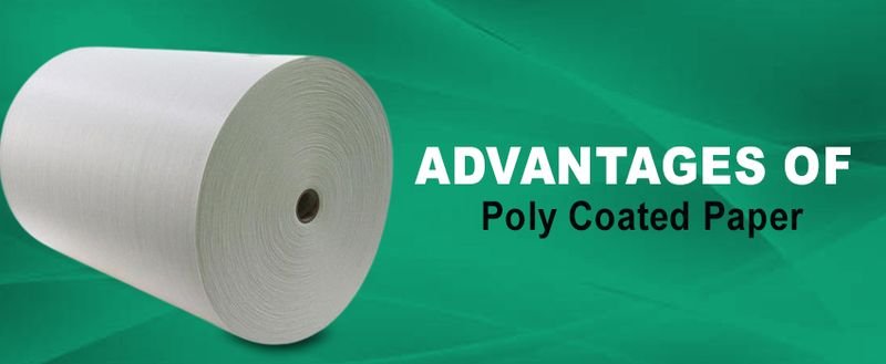 resources of Cpp Film (Polycast) exporters