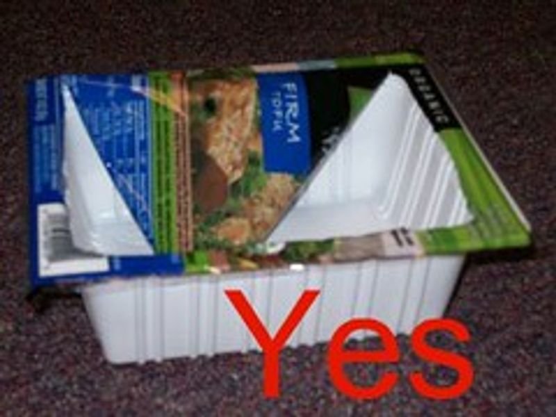 resources of Fresh box exporters