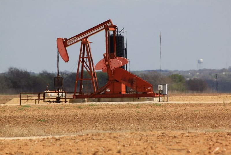 resources of Oil Expeller Machine Manufacturers Exporters exporters