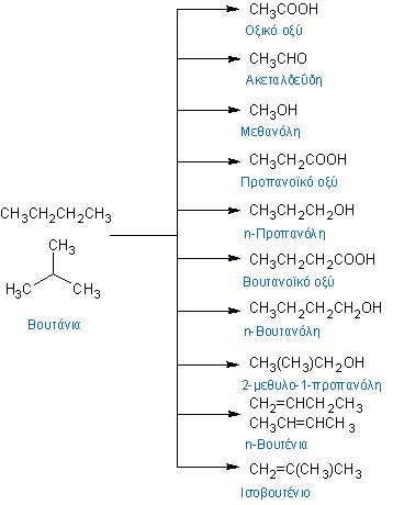 resources of Petrochemicals exporters