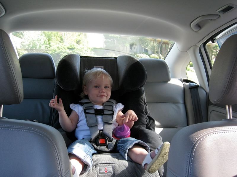 resources of Baby crandle exporters