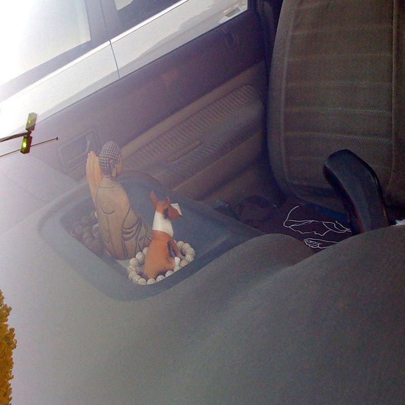 resources of Falcon hunting exporters