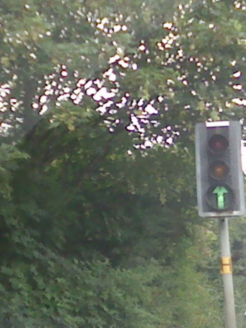 resources of Red and green traffic light exporters