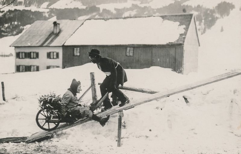 resources of Snow Joe MJ408E 20" exporters