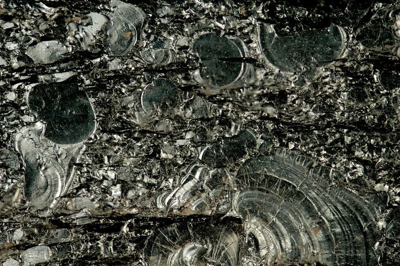 resources of GRANITE & MARBLE (COIN BLACK) exporters