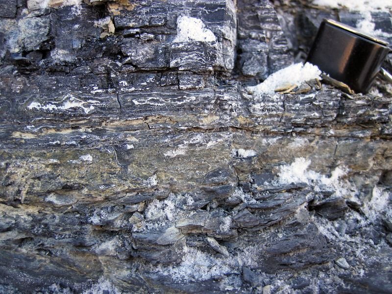 resources of Bituminous Coal exporters