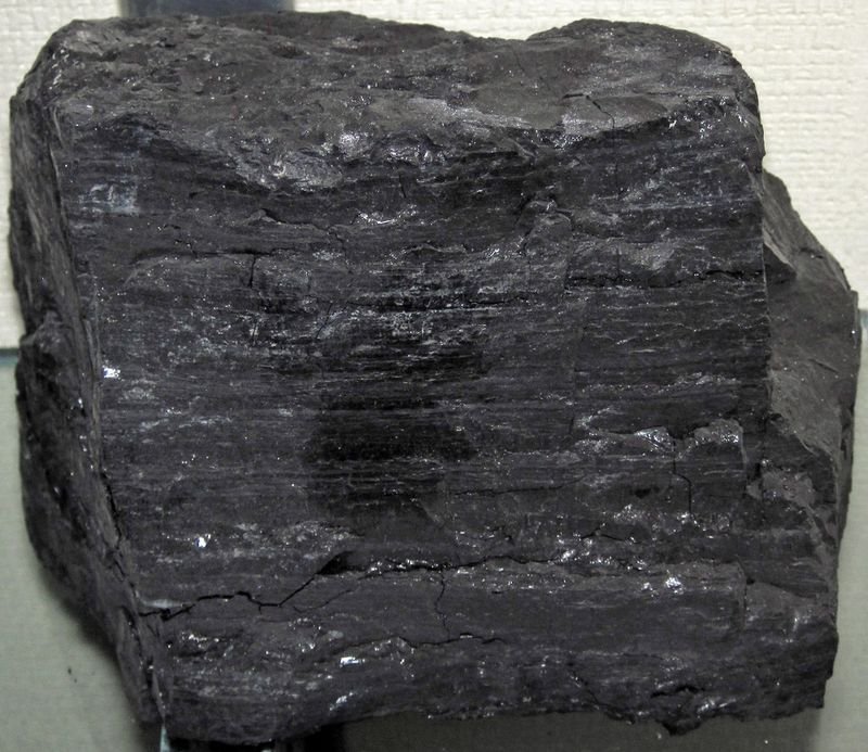 resources of Coal exporters