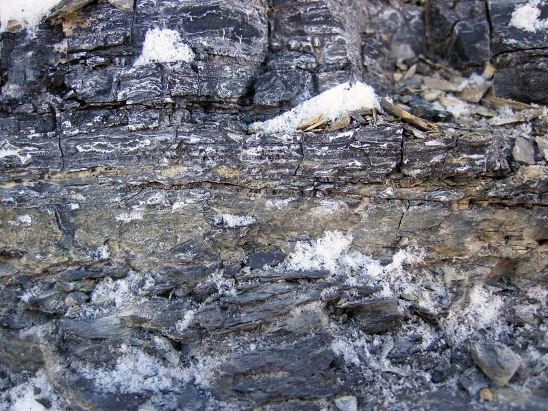 resources of Rock Faced exporters