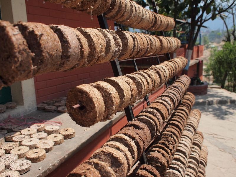 resources of Sustainable Wood Pellet exporters