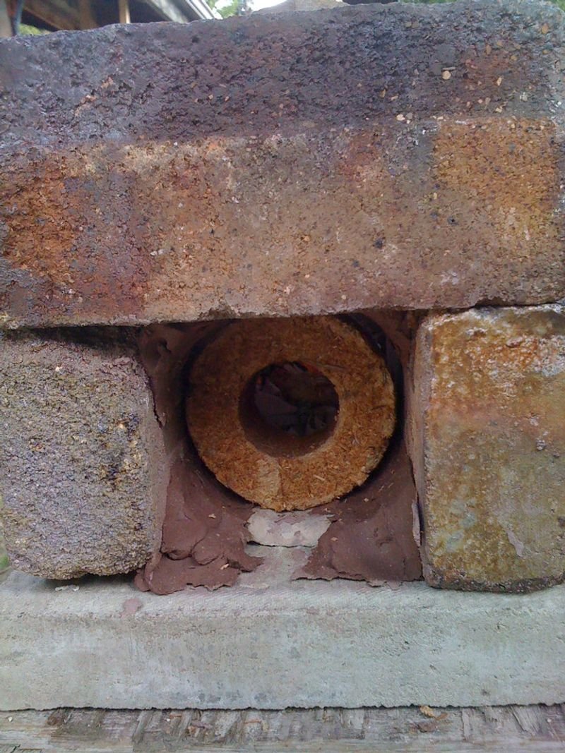 resources of Biomass briquettes exporters