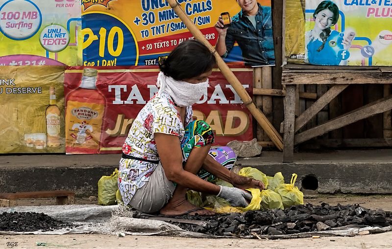resources of White Charcoal exporters