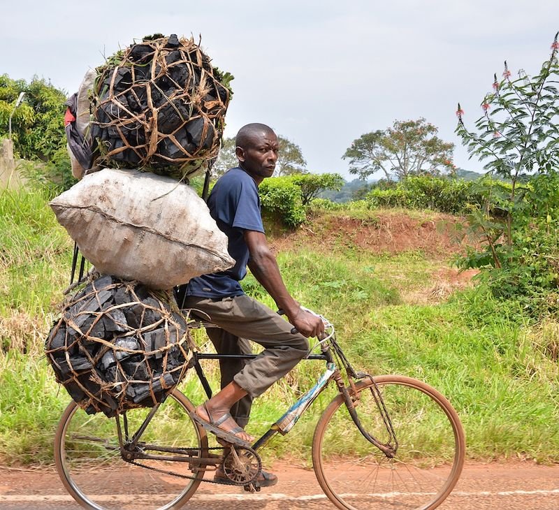 resources of Charcoal exporters resources of Charcoal exporters
