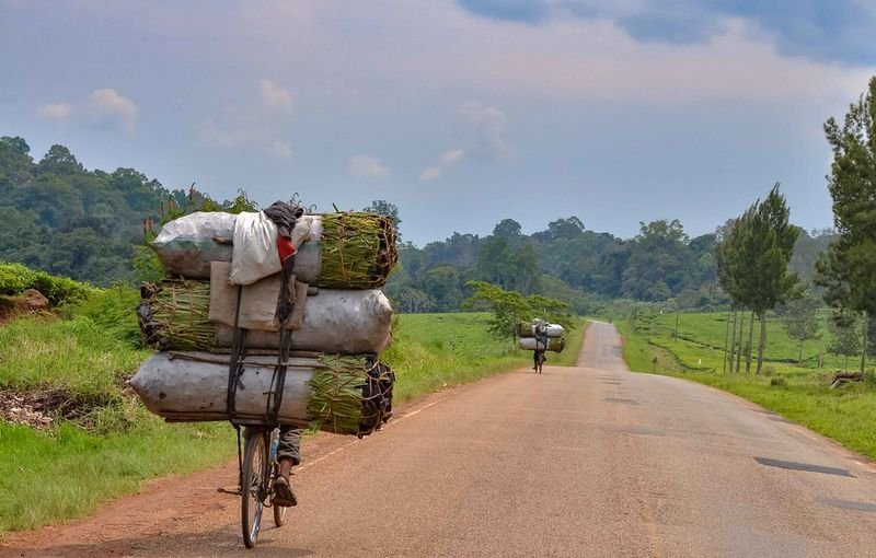 resources of Lump Charcoal exporters resources of Lump Charcoal exporters
