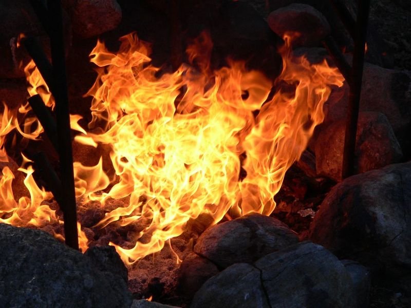 resources of Mangrove charcoal exporters