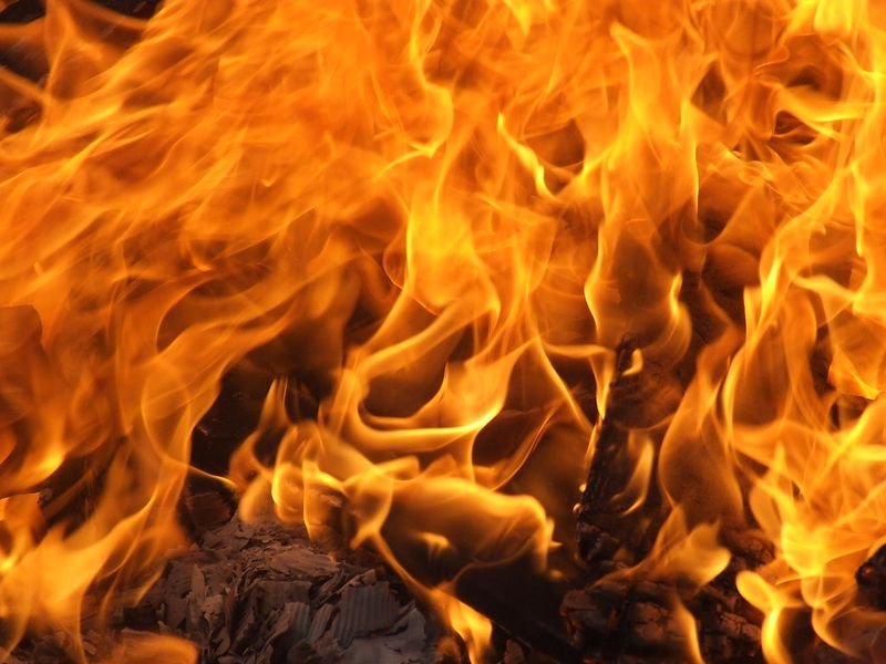 resources of Charcoal exporters resources of Charcoal exporters