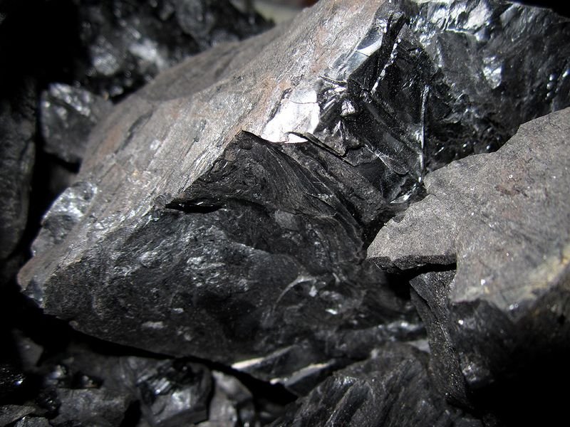 resources of Charcoal from raw shell exporters