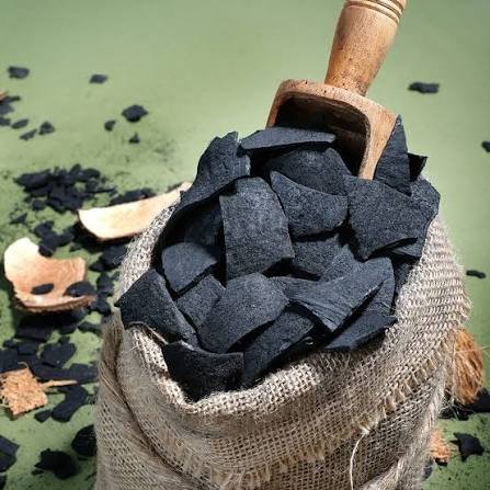 resources of Coconut Shell Charcoals (100%) exporters
