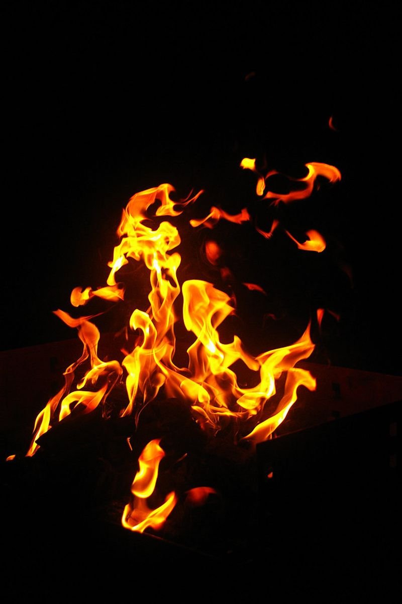 resources of Dry Firewood on Pallet Boxes exporters