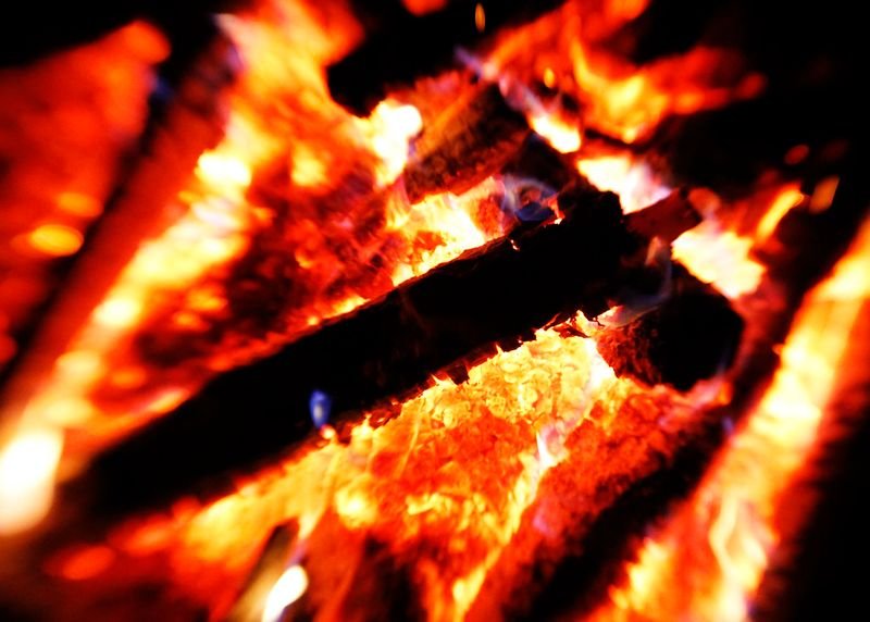 resources of Firewood exporters
