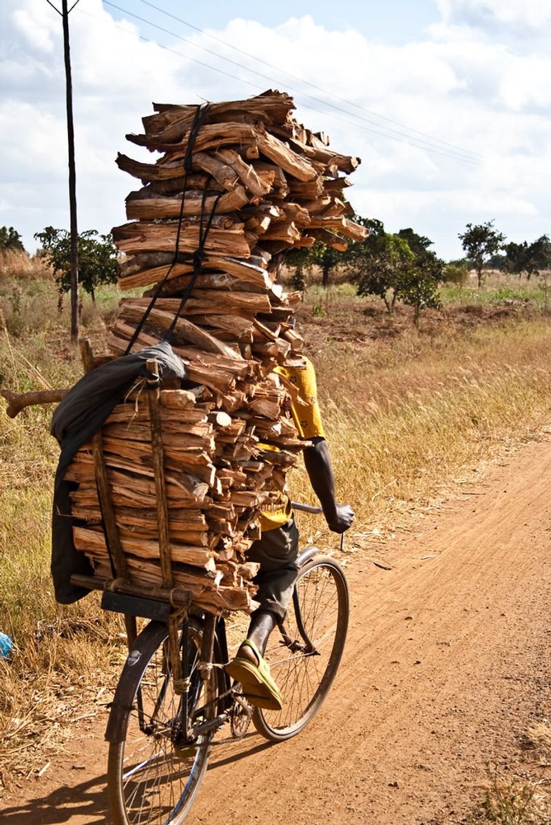resources of Beech And Oak Firewood On Pallets exporters